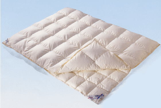 �r���x�b�N�H��